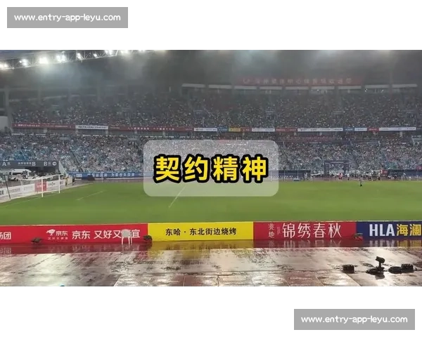 苏超赞助商一个月激增 19 家，中超不足 10 家：区域赛事的破局密码